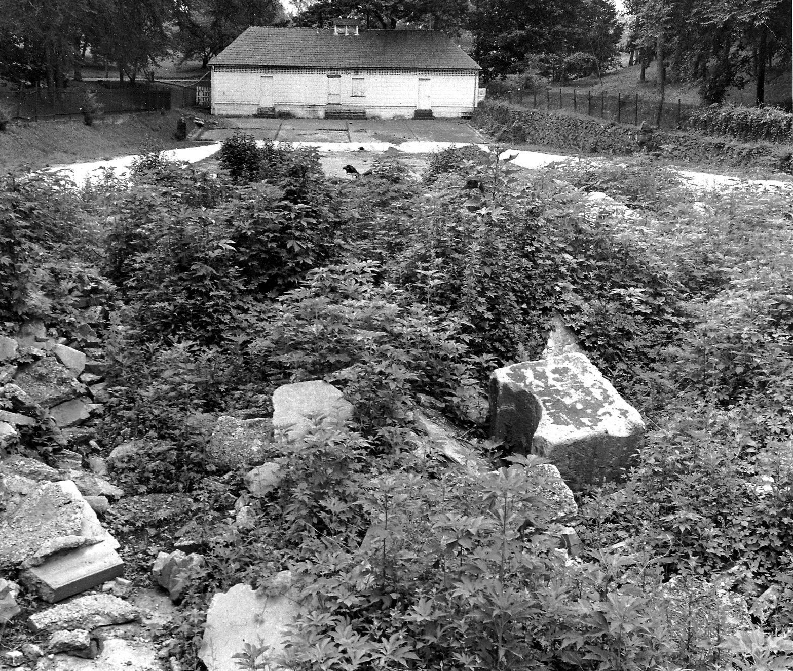 1969-07-08 Pool area cleared of weeds